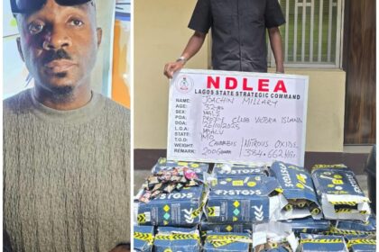 NDLEA speaks on Pretty Mike’s arrest, warns against rising drug party culture