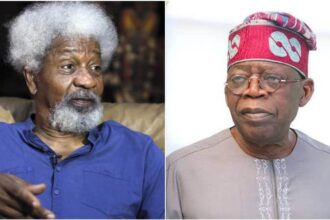 Why I accepted National Theatre renaming despite past criticism – Wole Soyinka