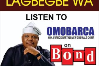 Politics is not for selfish gain, It is a tool for service, I am in it because of my people – OmoBarca