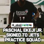 New York Jets Sign Former Sharks and Western Province Winger Paschal Ekeji to Practice Squad New York Jets Sign Former Sharks and Western Province Winger Paschal Ekeji to Practice Squad