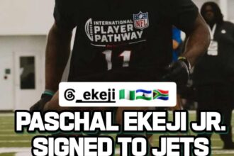 New York Jets Sign Former Sharks and Western Province Winger Paschal Ekeji to Practice Squad