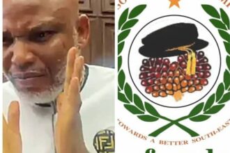 South-East Academic Doctors Condemn Life Imprisonment Verdict, Demand Immediate Release of Nnamdi Kanu South-East Academic Doctors Condemn Life Imprisonment Verdict, Demand Immediate Release of Nnamdi Kanu