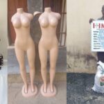 NDLEA Re-Arrests 80-Year-Old Ex-Convict, Intercepts Tramadol Hidden in Mannequins in Nationwide Drug Busts