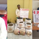 NDLEA Arrests Notorious Drug Kingpin ‘Kanmo-Kanmo’ 12 Years After Killing of Three Officers