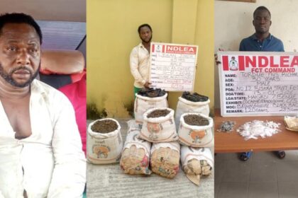 NDLEA Arrests Notorious Drug Kingpin ‘Kanmo-Kanmo’ 12 Years After Killing of Three Officers