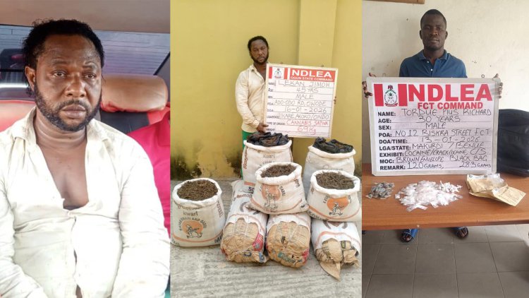 NDLEA Arrests Notorious Drug Kingpin ‘Kanmo-Kanmo’ 12 Years After Killing of Three Officers