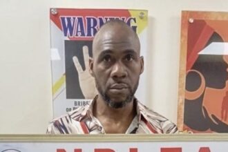 NDLEA Nabs Brazil-Based Nigerian with Cocaine at Lagos Airport, Seizes Over 10 Tonnes of Drugs Nationwide NDLEA Nabs Brazil-Based Nigerian with Cocaine at Lagos Airport, Seizes Over 10 Tonnes of Drugs Nationwide