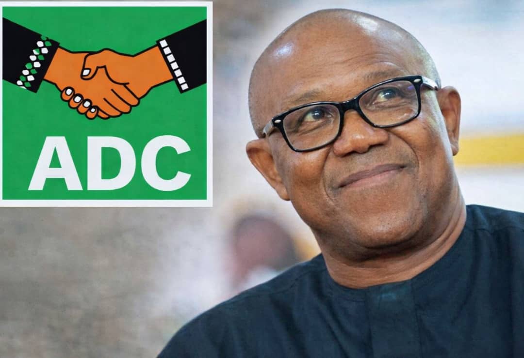 Peter Obi Alleges Over 1,000 Nigerians Killed in Early 2026, Decries ‘Politics of Zero Humanity’