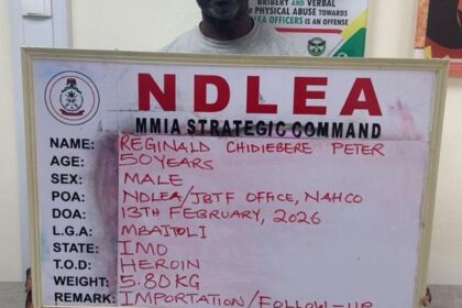 Alleged Drug Kingpin Surrenders After 13 Years in Hiding as NDLEA Links Him to Major Heroin Seizures Alleged Drug Kingpin Surrenders After 13 Years in Hiding as NDLEA Links Him to Major Heroin Seizures