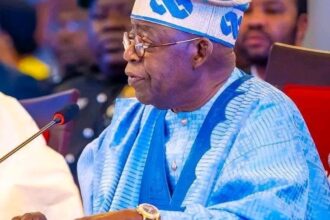 Presidency Defends Tinubu, Accuses ADC of Misrepresenting Remarks on Party Convention