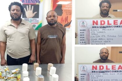 NDLEA Busts Drug Syndicate Using Palm Kernel Oil Tins to Smuggle Cocaine to UK
