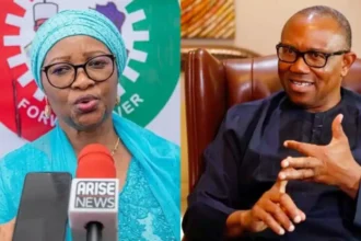 Labour Party Chair Says Peter Obi Faces Legal Hurdle to 2027 Bid Amid Ongoing Crisis