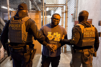 US Immigration Arrest Olatunde Olusanjo in Los Angeles Over Child Molestation Convictions