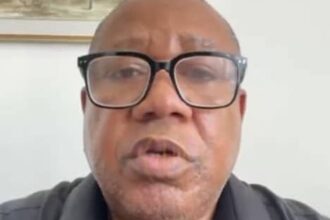 Eze Ndigbo: Igbo Leader in South Africa Apologises, Denies Kingship Claim Amid Controversial Coronation Row Eze Ndigbo: Igbo Leader in South Africa Apologises, Denies Kingship Claim Amid Controversial Coronation Row