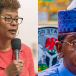 US Lawmaker Alleges Bribery Attempt by Nigerian Defence Minister Amid Disputed Genocide Claims