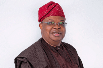 Electricity in Nigeria cannot be fixed with ease  – New power minister Joseph Tegbe