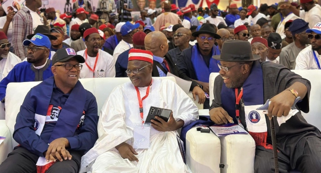 NDC Fixes ₦60m Presidential Nomination Fee Ahead of 2027 Elections