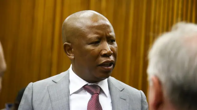 Malema Condemns Xenophobic Attacks, Challenges Perpetrators to Show Economic Gains