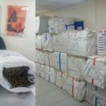 NDLEA Arrests 63-Year-Old Chinese Woman Over Attempt To Smuggle Cannabis Into Nigeria NDLEA Arrests 63-Year-Old Chinese Woman Over Attempt To Smuggle Cannabis Into Nigeria