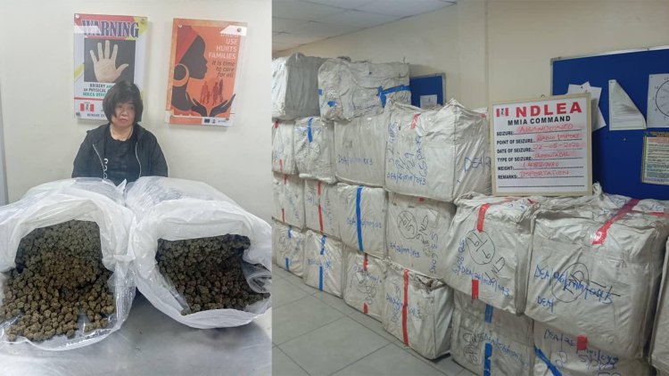 NDLEA Arrests 63-Year-Old Chinese Woman Over Attempt To Smuggle Cannabis Into Nigeria