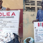 NDLEA Arrests Two Grandpas Over Drug Trafficking in Ekiti, Abia