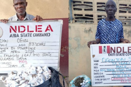NDLEA Arrests Two Grandpas Over Drug Trafficking in Ekiti, Abia NDLEA Arrests Two Grandpas Over Drug Trafficking in Ekiti, Abia