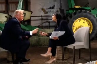 Trump Abruptly Ends NBC Interview After Questions on Election Claims and Foreign Policy Trump Abruptly Ends NBC Interview After Questions on Election Claims and Foreign Policy