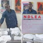 NDLEA Arrests Brazil-Based Abugu Ikechukwu Over Cocaine-Soaked Clothing, Detains Two Suspected Drug Dealers in Abia and Rivers