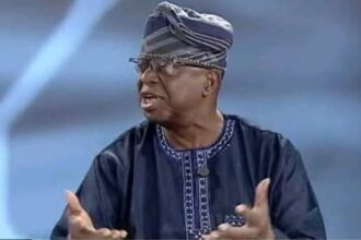 NIIA’s Prof Olufemi Otubanjo Backs State Police, Says Reform Long Over Due for Federalism