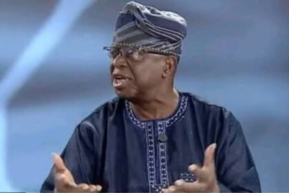 NIIA’s Prof Olufemi Otubanjo Backs State Police, Says Reform Long Over Due for Federalism
