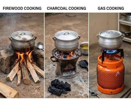 Rising Cooking Gas Prices Force Abuja Residents Back to Charcoal and Firewood