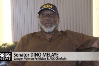 Opposition Will Unite to Defeat Tinubu, APC in 2027 – Dino Melaye