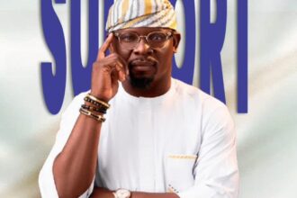 Alimosho Stakeholders Accuse NDC of Replacing House of Reps Candidate, Ife Salako Who Got 634 Votes