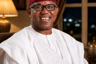 By Making Excuses for Unverified Certificates, We Are Planting Poison in the Soul of Our Society – Peter Obi By Making Excuses for Unverified Certificates, We Are Planting Poison in the Soul of Our Society – Peter Obi