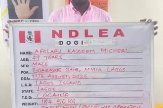 NDLEA Dismantles International Cocaine Cartel, Arrests Alleged Nigerian Kingpin ‘KC Luxury’