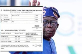 APC, ADC Clash Over Tinubu’s Educational Credentials and Constitutional Qualification APC, ADC Clash Over Tinubu’s Educational Credentials and Constitutional Qualification