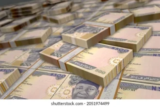 Federal Govt claims N600 billion in cash transfers paid to 100 million Nigerians