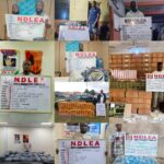 NDLEA Warns Nigerians Against Receiving Unknown Consignments From Abroad