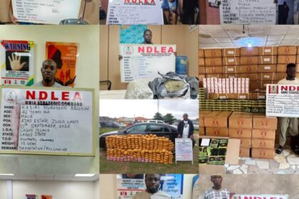 NDLEA Warns Nigerians Against Receiving Unknown Consignments From Abroad