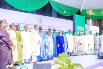 Over 600 Northern Academics Endorse Tinubu for Second Term Over 600 Northern Academics Endorse Tinubu for Second Term