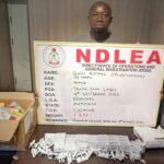 NDLEA Arrests Convicted Cocaine Trafficker Disguised as Herbal Tea Merchant in Lagos