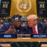 81st UNGA: Tinubu Aide Dismisses Claims US Could Arrest President as ‘Pure Nonsense’