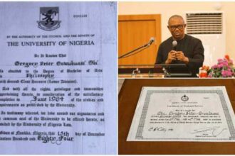 Labour Party Chieftain Sues WAEC, UNN, NYSC Over Peter Obi’s Academic Records Labour Party Chieftain Sues WAEC, UNN, NYSC Over Peter Obi’s Academic Records