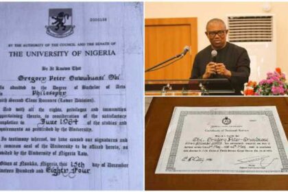 Labour Party Chieftain Sues WAEC, UNN, NYSC Over Peter Obi’s Academic Records