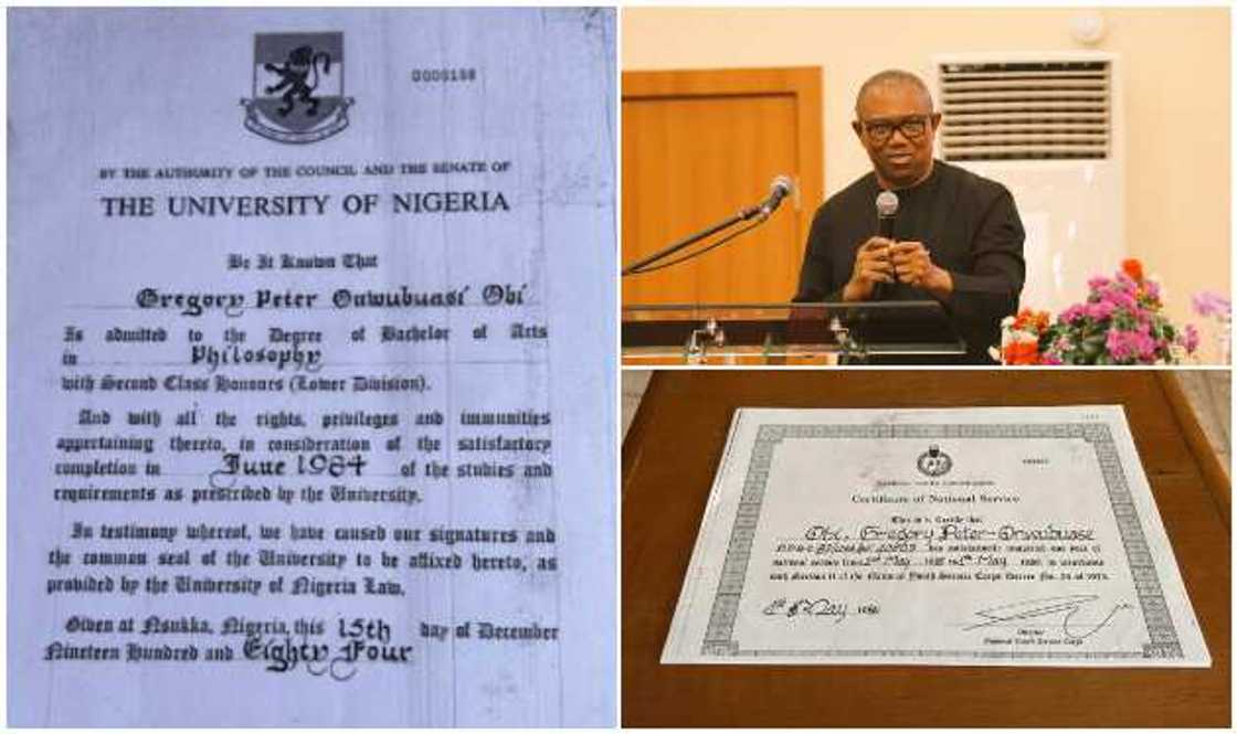 Labour Party Chieftain Sues WAEC, UNN, NYSC Over Peter Obi’s Academic Records Labour Party Chieftain Sues WAEC, UNN, NYSC Over Peter Obi’s Academic Records