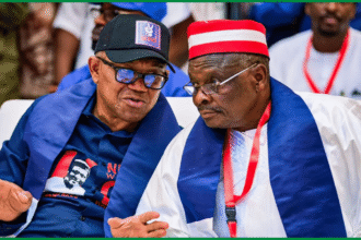OK Movement Demands Apology From NDC Over 59-Member Campaign Council Dispute OK Movement Demands Apology From NDC Over 59-Member Campaign Council Dispute