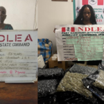 NDLEA rearrests 83-Year-Old Woman, Uloma Uchechi Over Methamphetamine, Colorado as Nationwide Drug Crackdown Intensifies NDLEA rearrests 83-Year-Old Woman, Uloma Uchechi Over Methamphetamine, Colorado as Nationwide Drug Crackdown Intensifies