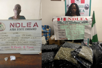 NDLEA rearrests 83-Year-Old Woman, Uloma Uchechi Over Methamphetamine, Colorado as Nationwide Drug Crackdown Intensifies