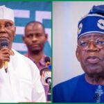 You are Egypt Nigerians will never return to, Atiku knocks Tinubu