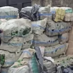 NAFDAC Discovers Over 100 Sacks of Empty Alcohol Bottles in Lagos Residential Building NAFDAC Discovers Over 100 Sacks of Empty Alcohol Bottles in Lagos Residential Building